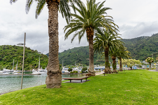Views of Pictons Harbor after passing through Queen Charlottes Sound on the South Island of New Zealand