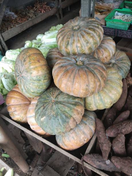 istock pumpkin and cassava 1813590172