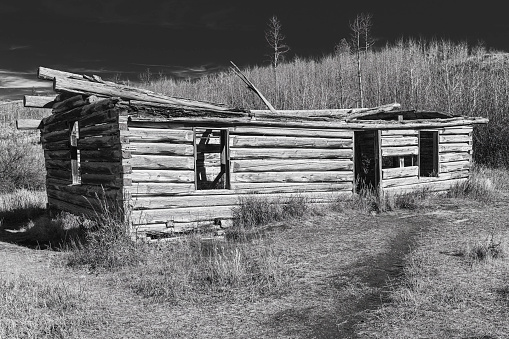 Black and white photograph of an old, abandoned wood log cabin in the hills of Grand Teton National Park in autumn.
