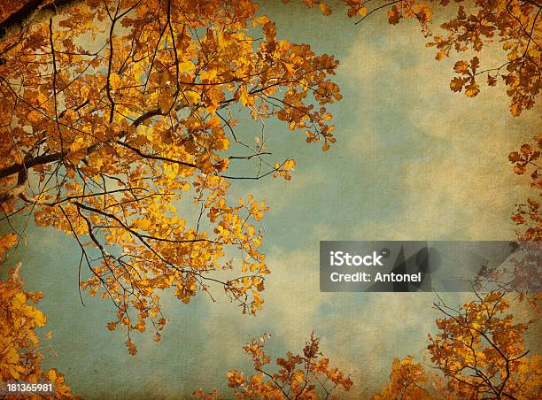 Jesienią Liście Na Niebo W Tle - zdjęcia stockowe i więcej obrazów Bez ludzi - Bez ludzi, Brązowy, Drzewo