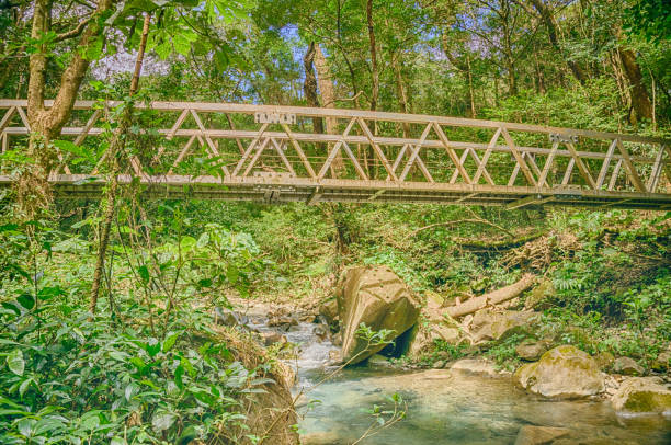 istock Looking up at a bridge crossing a stream 1813661865