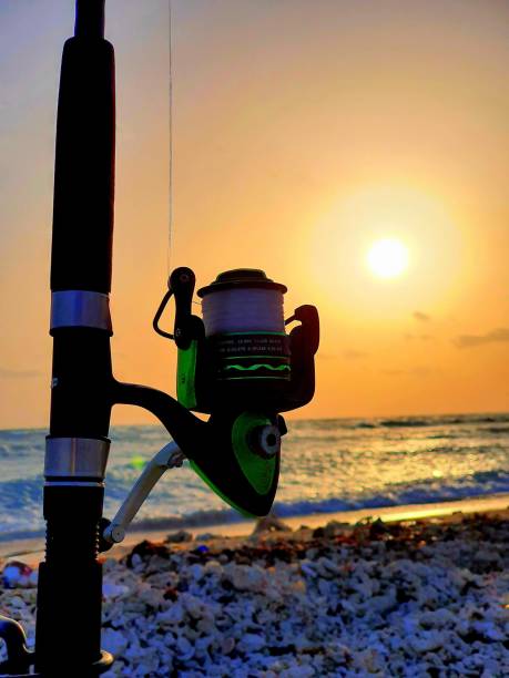 istock Fishing time at the beach 1813668858