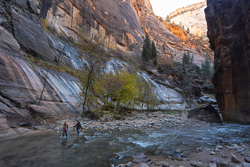 Hikers and trekkers in The Narrows trail on The Virgin River in Zion National Park in Utah, United States