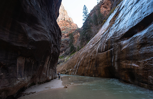 A beautiful clear shot of the narrows at Zion.