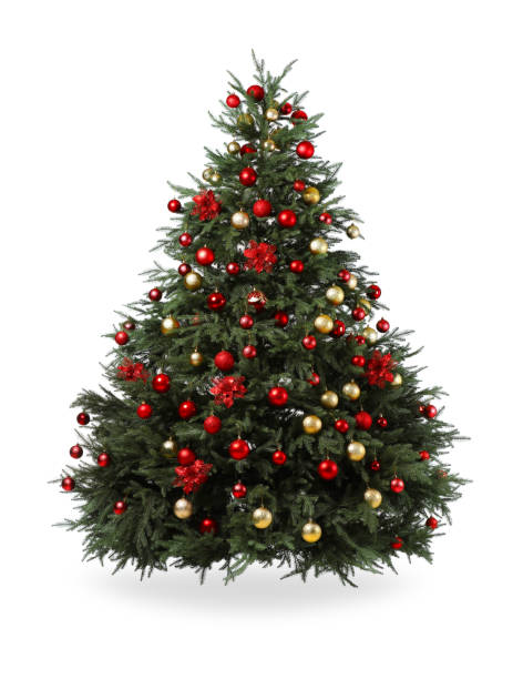 istock Beautiful Christmas tree decorated with ornaments isolated on white 1813684038