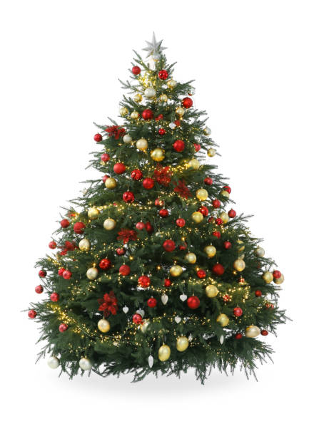 istock Beautiful Christmas tree decorated with festive lights and ornaments isolated on white 1813688323
