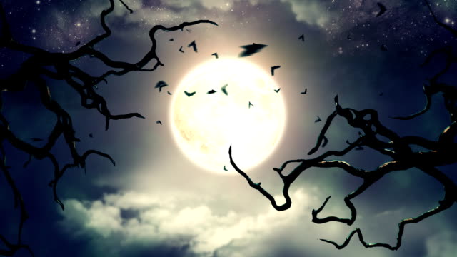 Flying bats in the light of the spooky Moon, HD 1080p, 30sec, 30fps