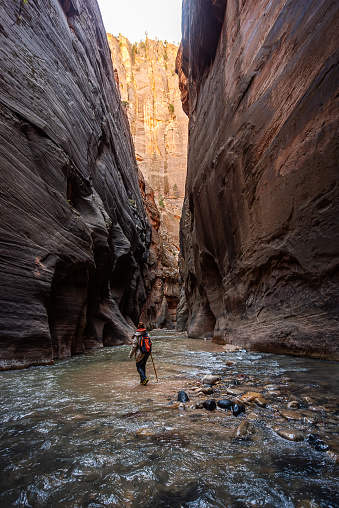 Female walking in the river using walking sticks and carrying backpacks in the Narrows at Zion national park Utah