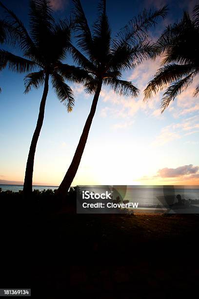 Beautiful Maui Hawaii On The Beach With Palm Tree Sunset Stock Photo - Download Image Now