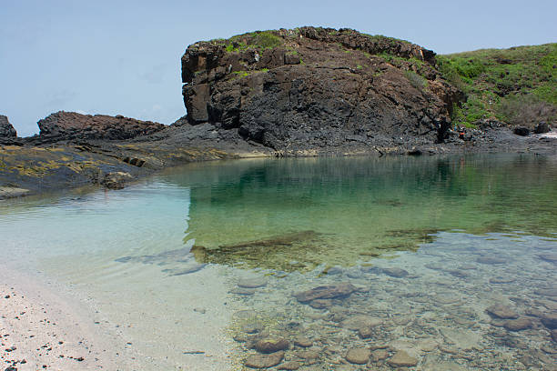 istock Senegal, isle de la Madeleine 181369142