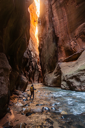 Female walking in the river using walking sticks and carrying backpacks in the Narrows at Zion national park Utah