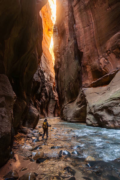 Female walking the Virgin river in the Narrows at Zion national park Utah Female walking in the river using walking sticks and carrying backpacks in the Narrows at Zion national park Utah zion river stock pictures, royalty-free photos & images