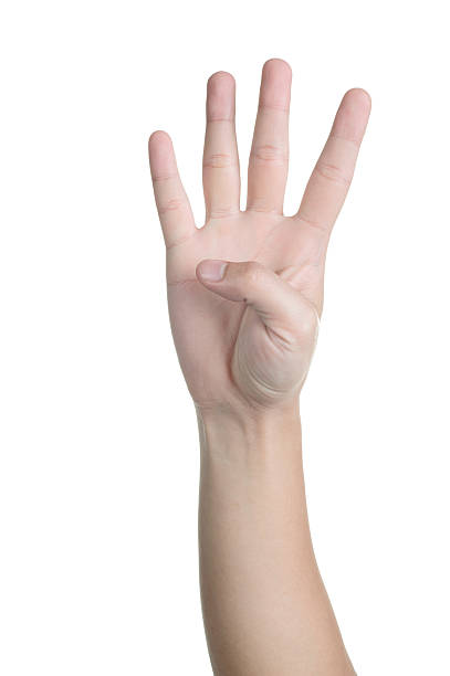 istock hand sign posture number four isolated 181369656