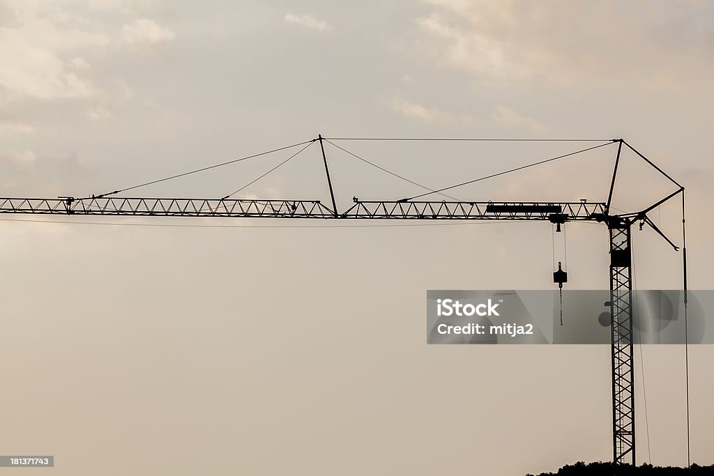 Crane - Photo de Activité libre de droits