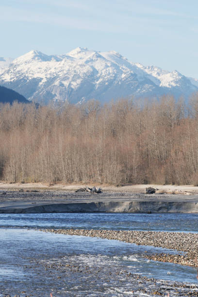istock Squamish River during a fall season at the Eagle Run vista point in Brackendale 1813726881