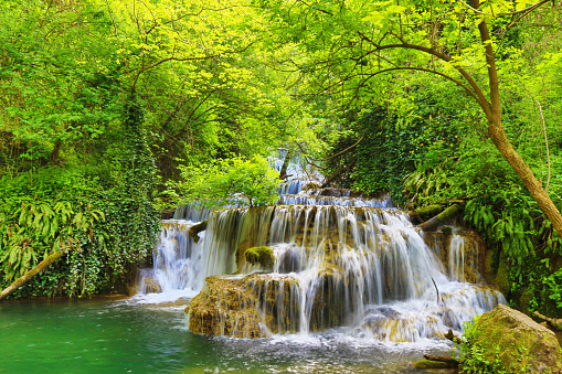 Krushuna Falls are a series of waterfalls in Northern Bulgaria, near the village of Krushuna,