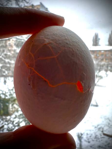 The photo depicts a cracked egg with a bright light emanating from its center.