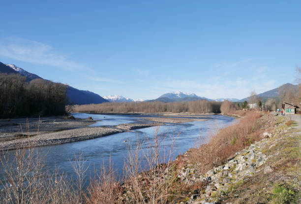 istock Squamish River during a fall season at the Eagle Run vista point in Brackendale 1813757856