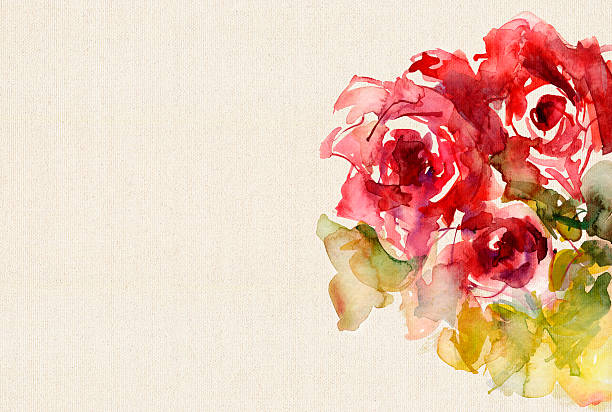 watercolor roses on canvas structure red watercolor roses on canvas structure get well soon stock illustrations
