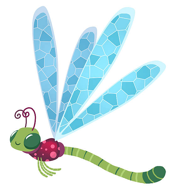 Dragon-fly This is an image of a nice dragonfly. This illustration is entirely made on a computer and I am the author of the work. volador stock illustrations