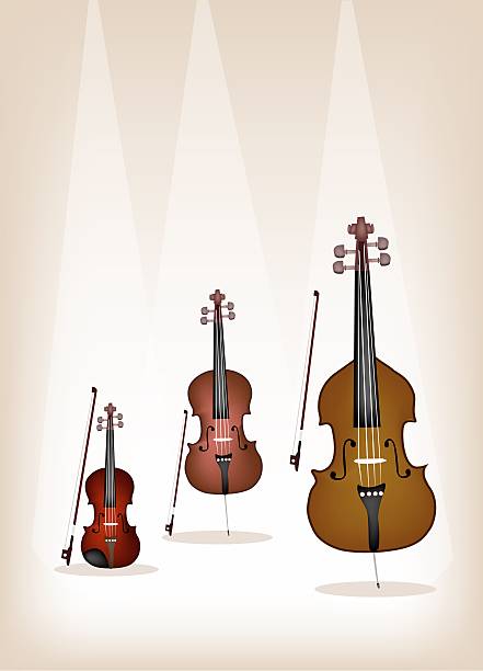 illustrations, cliparts, dessins animés et icônes de magnifique instrument de musique à cordes sur fond marron - classical music music musical instrument brown