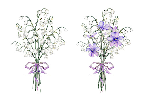 Set of watercolor first spring flowers. Coppice and llily of the valley delicate lilac and white flowers. Hand drawn illustration isolated background. Clipart botanical painting. Design for postcard
