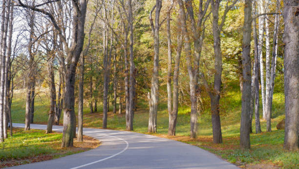 istock Road lane in autumn park 1813860816