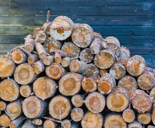 istock Stacks of firewood 1813861011