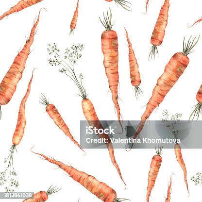 istock Seamless watercolor surface pattern of bright carrots with greens. Hand drawn botanical illustrations on isolated background. It can be used in print design, for cards, wallpaper, fabric, wallpaper, posters, backgrounds 1813861038
