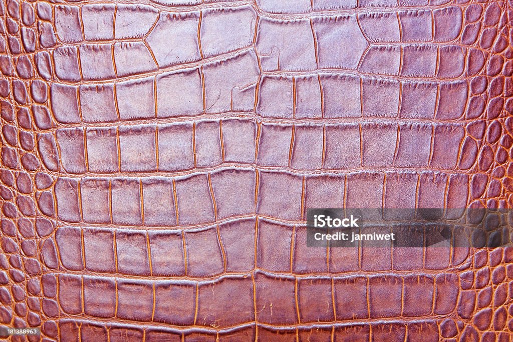 Sfondo in pelle rosa - Foto stock royalty-free di Abbigliamento