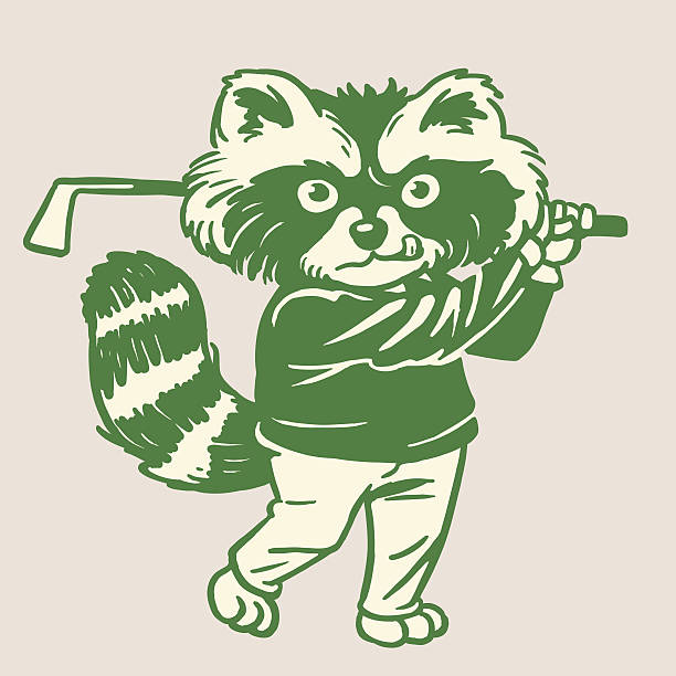 Raccoon Playing Golf