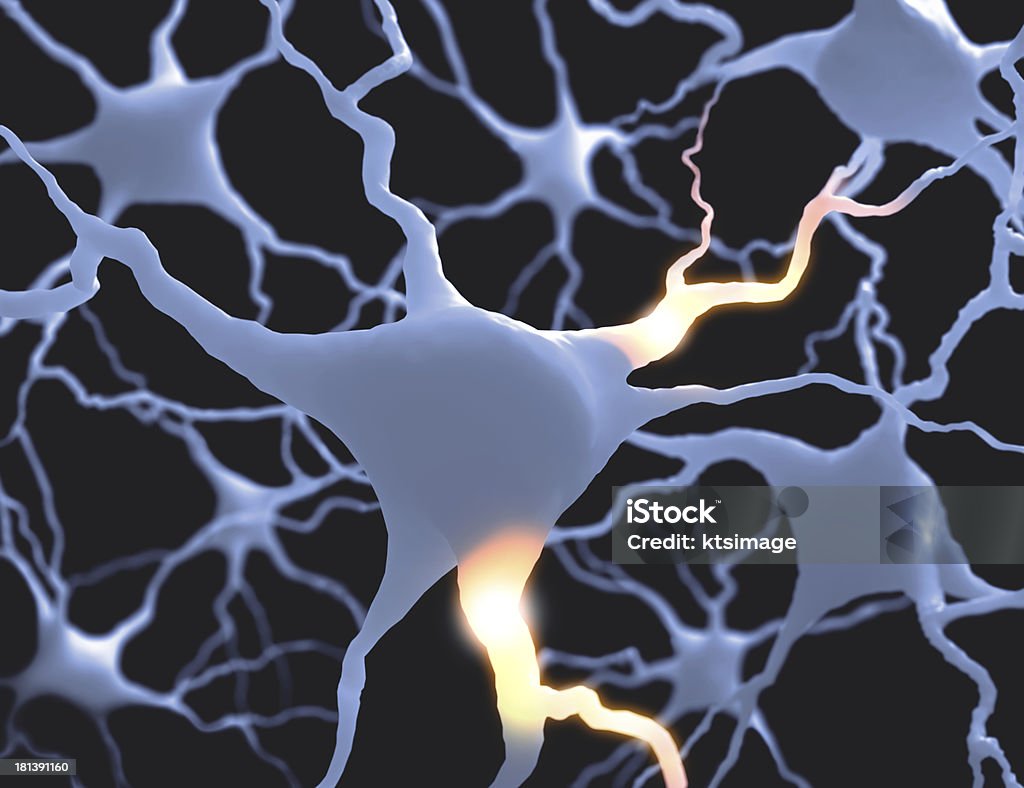 Neurónios - Royalty-free Anatomia Foto de stock