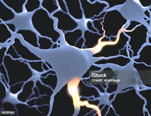 Neurónios - Fotografias de stock e mais imagens de Anatomia - Anatomia, Autorecetor, Axónio