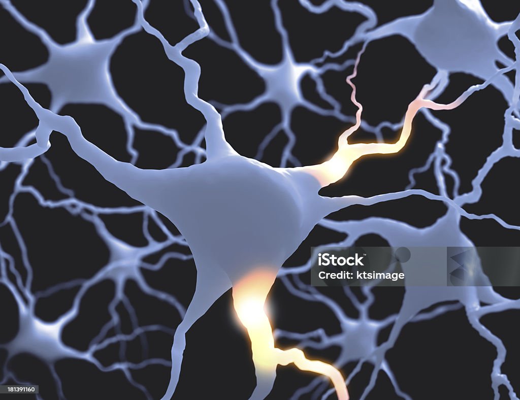Нейронов - Стоковые фото Autoreceptor роялти-фри