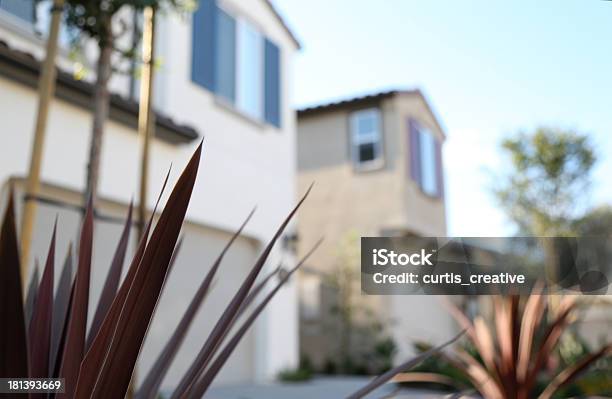 Neighborhood Casas - Fotografias de stock e mais imagens de Ajardinado - Ajardinado, Alfalto, Alta Sociedade