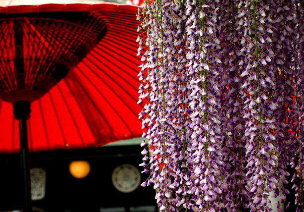 Kyoto cityscape in spring.