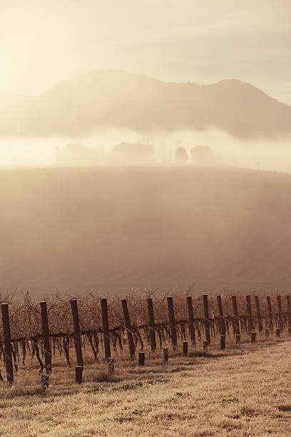 istock Sunrise over Yarra Valley In Winter 181393965