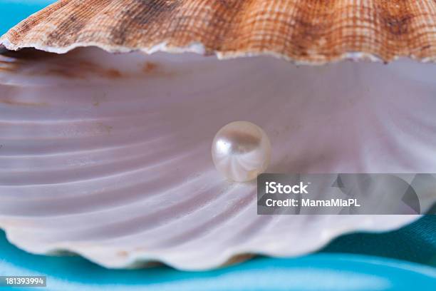 Foto de Pearl e mais fotos de stock de Azul - Azul, Branco, Concha - Parte do corpo animal