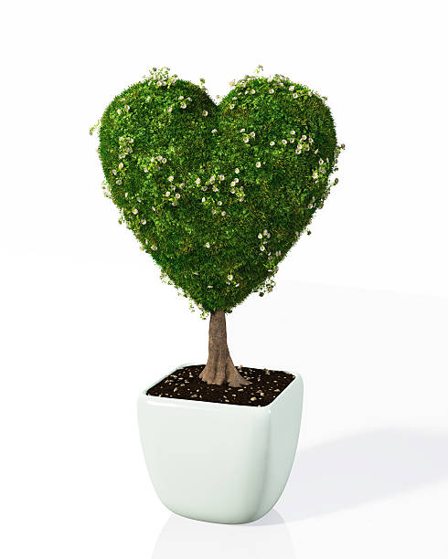 istock plant shaped like a heart 181394437