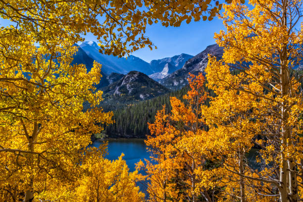 istock Bear Lake Autumn Vignette 1813963102