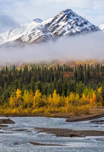 Many Layers of Autumn in Denali The seasons collide in Denali national park, with fall color, fog and snow all combining above the river in Denali National Park, Alaska. denali mountain stock pictures, royalty-free photos & images
