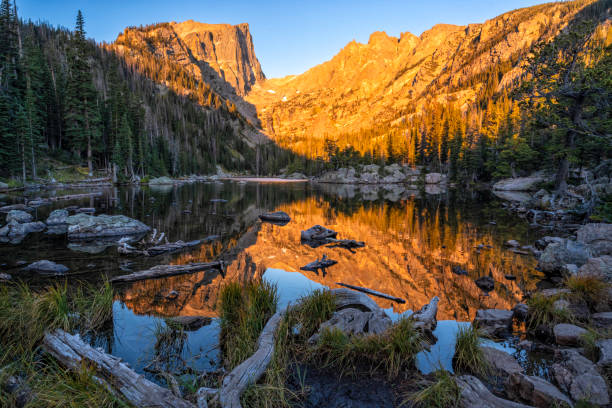 istock Dream Lake Driftwood Reflections 1813964244
