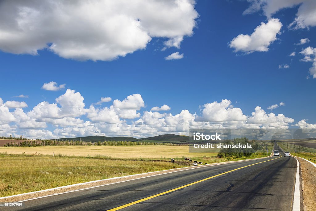 País de la - Foto de stock de Carretera con curvas libre de derechos