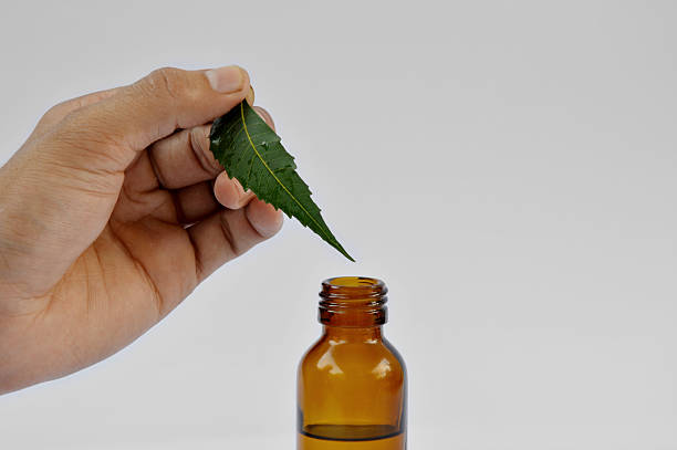Human Hand Holding Medicine Neem Leaf near Bottle Human Hand Holding Medicine Neem Leaf near Medicine Bottle which is good ingredients of Ayurveda and Herbalism. antiviral drug stock pictures, royalty-free photos & images
