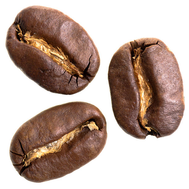 three espresso beans before white background stock photo