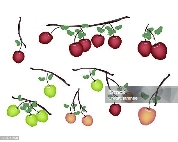 Zbiór Świeże Jabłka Na Białym Tle - Stockowe grafiki wektorowe i więcej obrazów Czerwony - Czerwony, Deser, Dieta