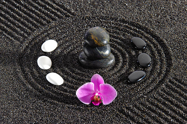 япония zen garden - buddhism zen like orchid stone стоковые фото и изображения