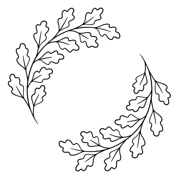 ilustrações, clipart, desenhos animados e ícones de moldura de grinalda de carvalho - folha de carvalho