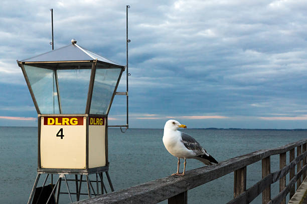 lonesome stock photo