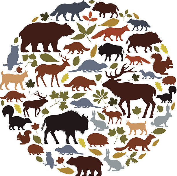 wild animals icon collage - skunk 幅插畫檔、美工圖案、卡通及圖標